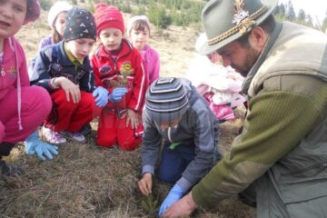 Elevii Școlii Gimnaziale „Ștefan cel Mare” Putna au participat la plantarea a 600 de puieți de molid