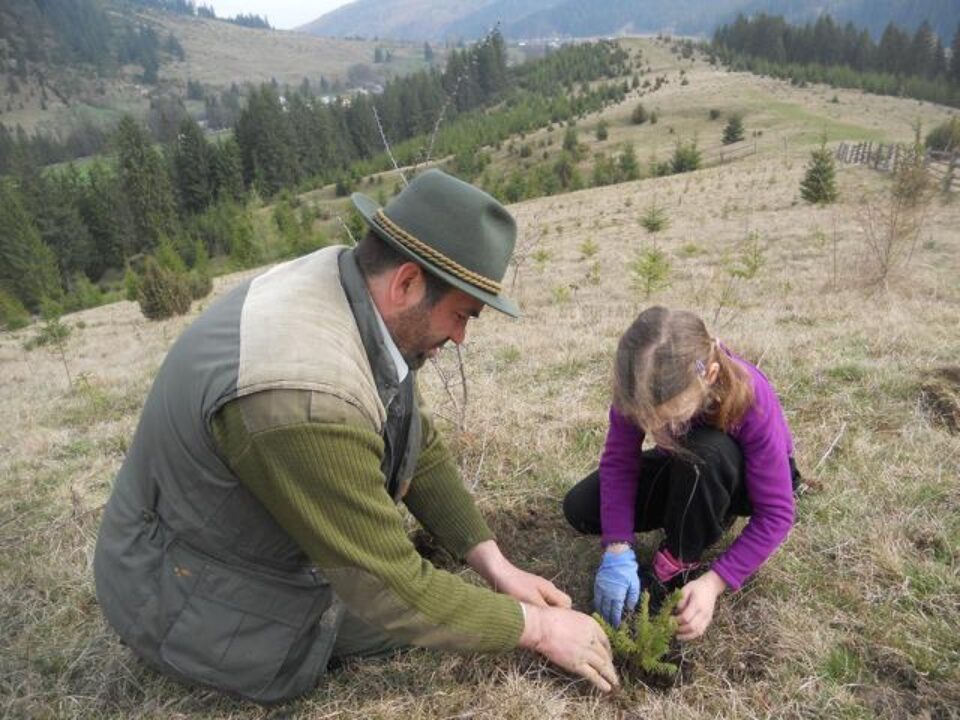 Elevii Școlii Gimnaziale „Ștefan cel Mare” Putna au participat la plantarea a 600 de puieți de molid
