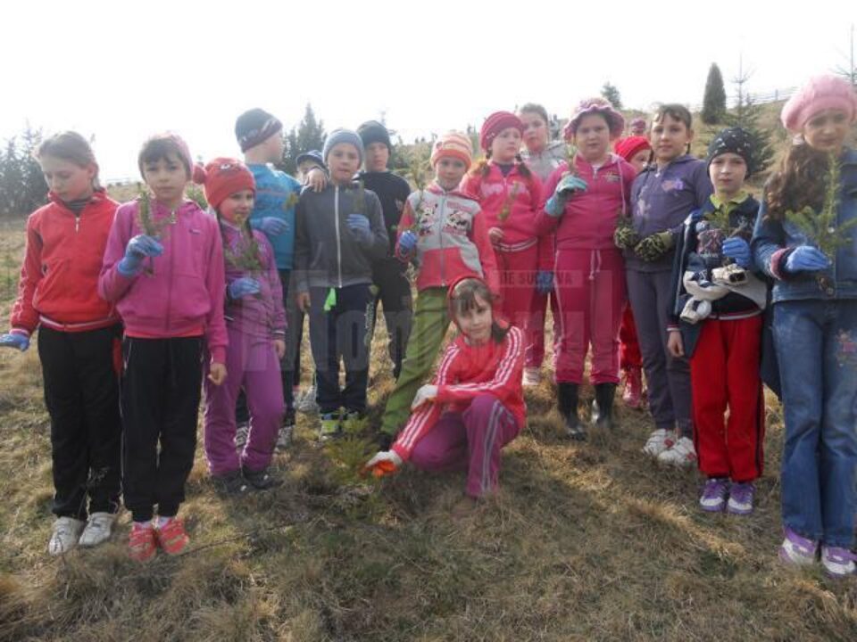 Elevii Școlii Gimnaziale „Ștefan cel Mare” Putna au participat la plantarea a 600 de puieți de molid