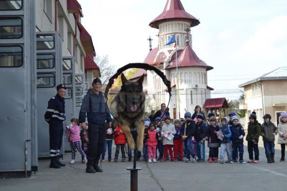 „Vedeta” pompierilor a fost Oly, câinele salvator