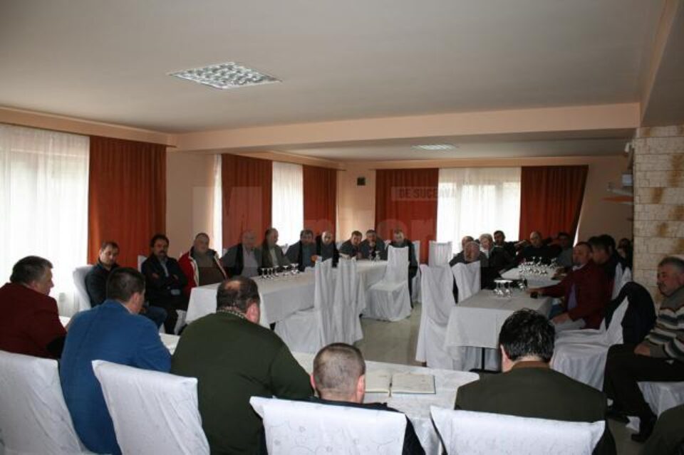 Tăietorii de lemn de pe valea Bistriței Aurii, pe panta sumbră a falimentului