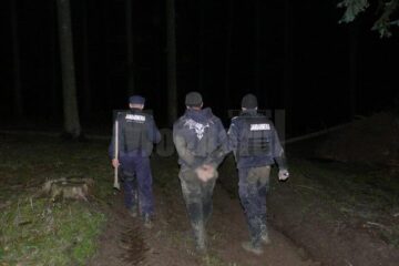 Focuri de armă în pădure, după șase indivizi care tăiau copaci