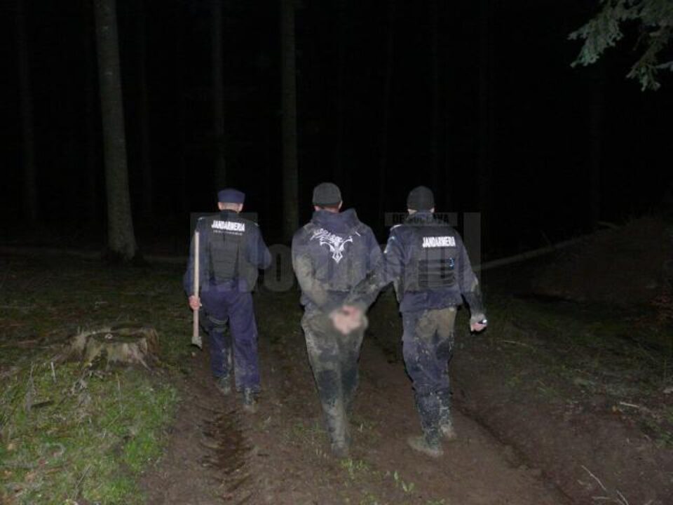 Focuri de armă în pădure, după șase indivizi care tăiau copaci