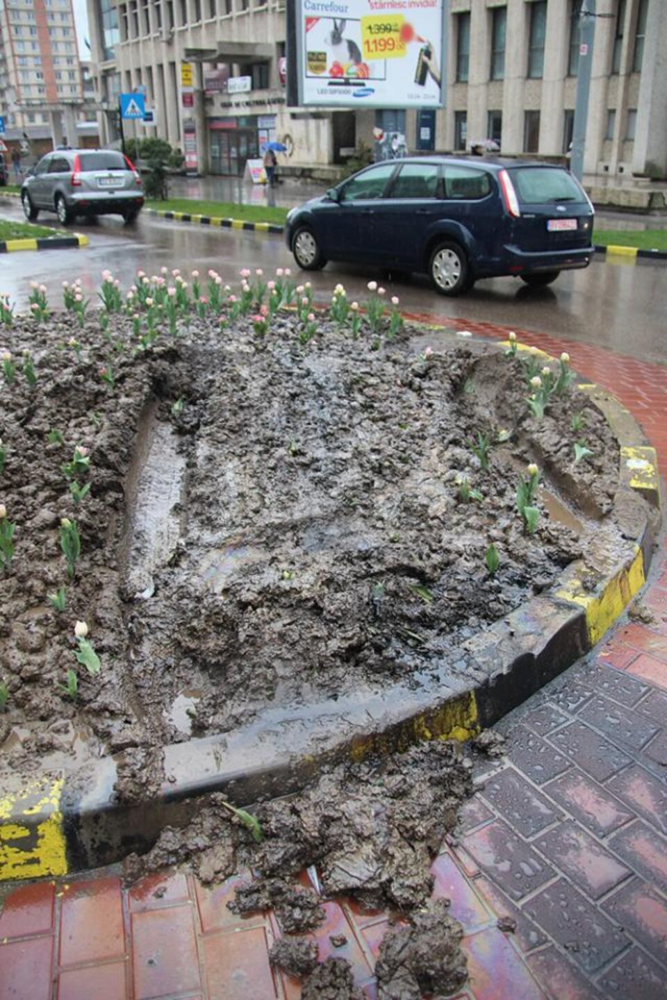 Rondul de flori din sensul giratoriu de lângă Casa de Cultură, distrus de un șofer neatent