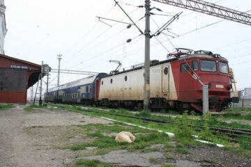 În Gara Ițcani greva nu a deranjat nici măcar câinii vagabonzi