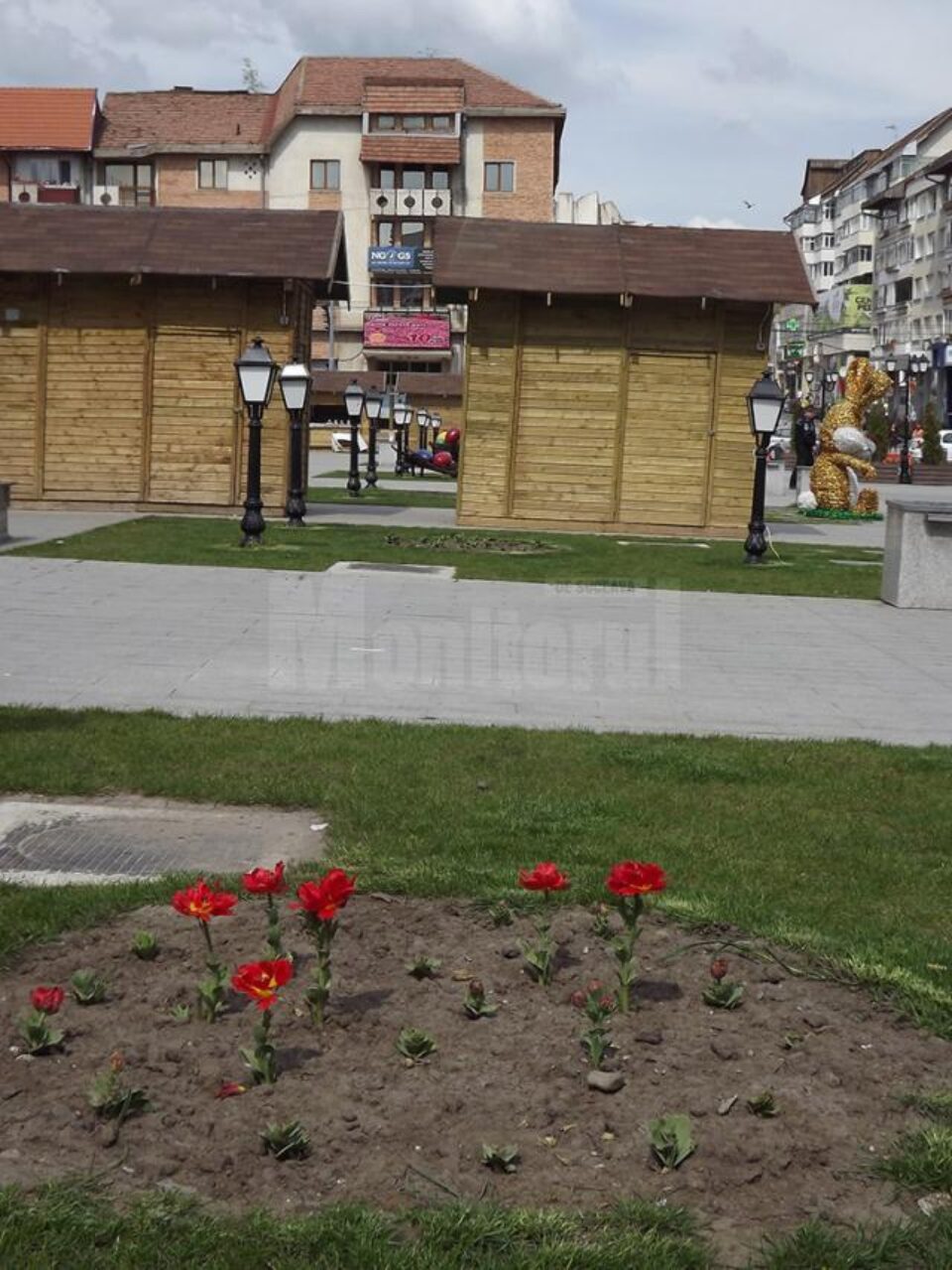 Lalelele din Centru au dispărut din toate rondurile, cu excepția celor care aproape că se scutură, ce nu mai pot fi vândute
