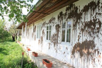 Elena Tucaliuc spune că nu-și poate da seama cine este autorul