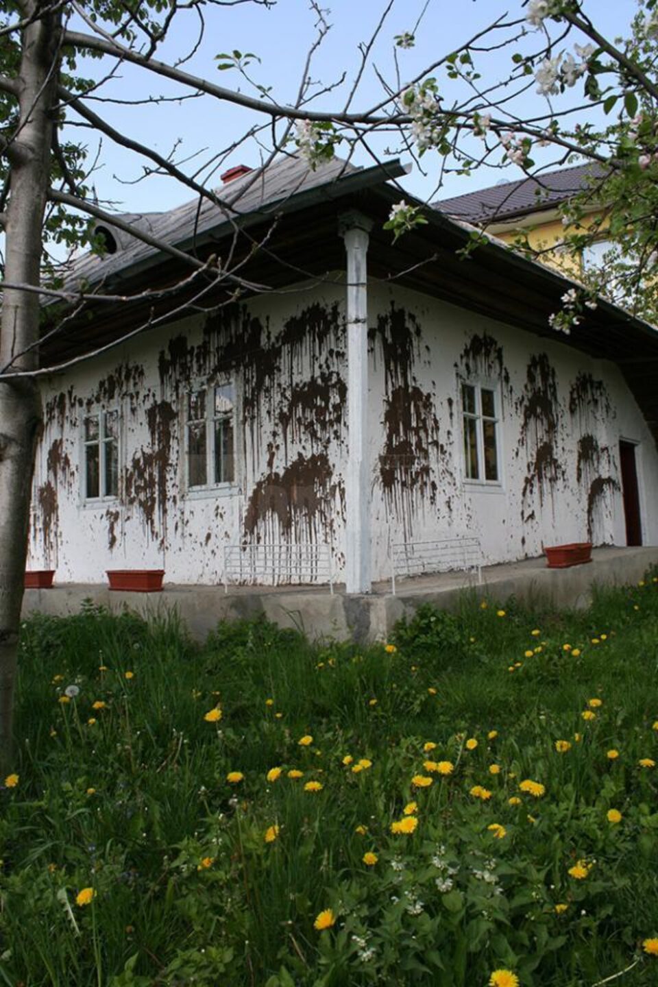 Și-a găsit casa mânjită cu materii fecale