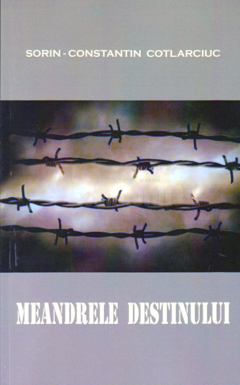 Cartea Meandrele destinului, de Sorin Cotlarciuc