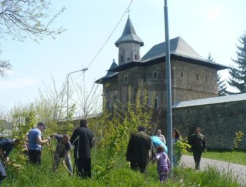 Zeci de voluntari s-au mobilizat pentru a continua campania „Rădăcini și Oxigen pentru Zamca”