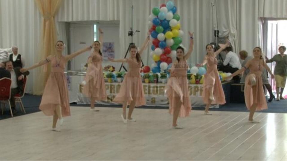 Momente artistice din cadrul galei