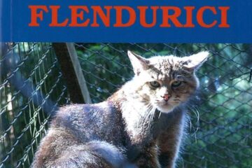 Constantin Oliviu Sebastian: „Flendurici”