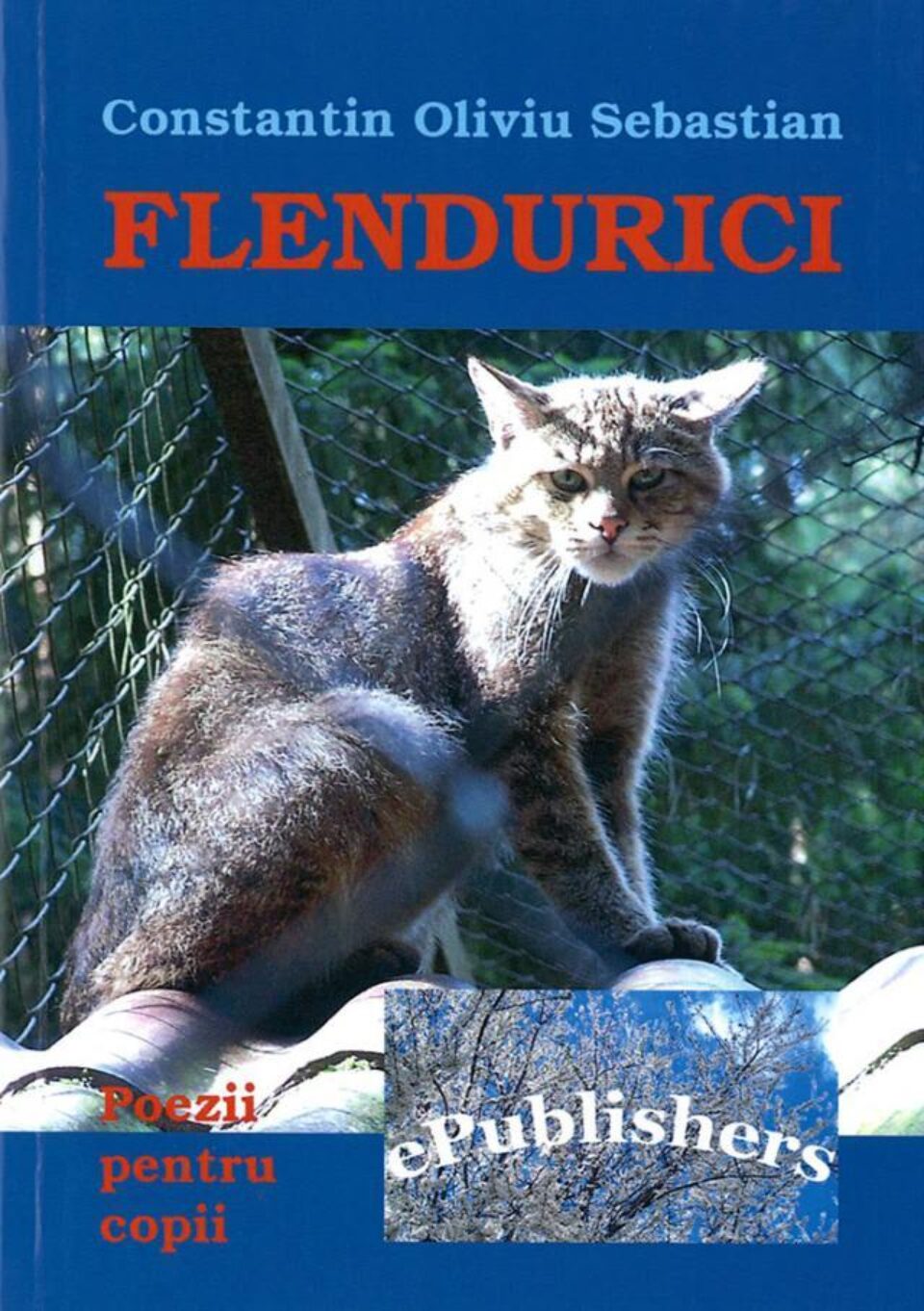Constantin Oliviu Sebastian: „Flendurici”