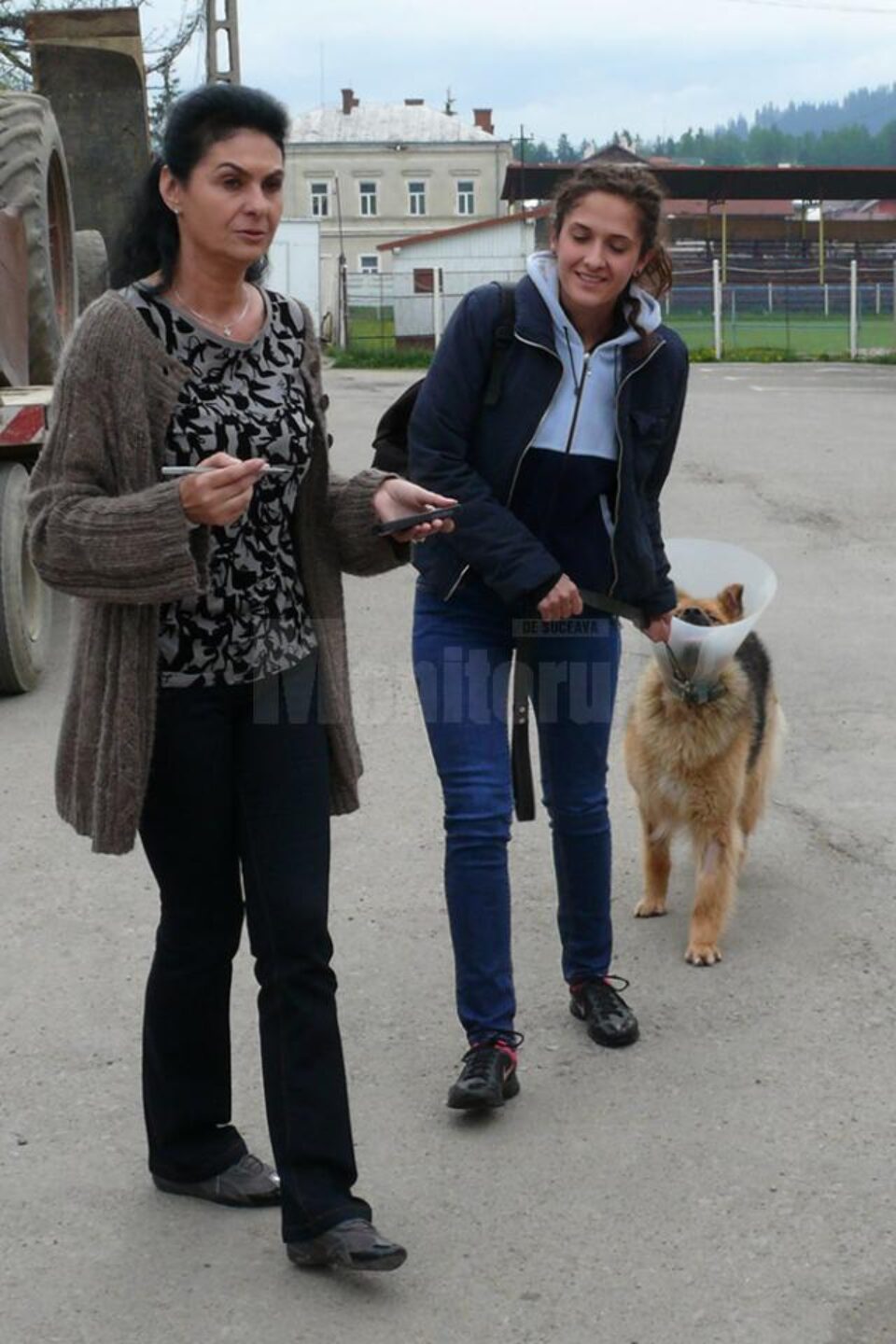 Dr Roxana Pasat și unul din câinii sterilizați