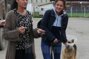 Dr Roxana Pasat și unul din câinii sterilizați