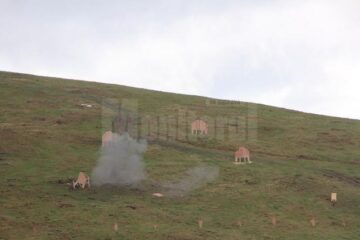 Exercițiul de apărare cu trageri la țintă al vânătorilor de munte de la Vatra Dornei