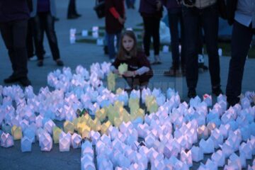 Peste 3000 de gulguțe realizate de cercetași au luminat centrul Sucevei