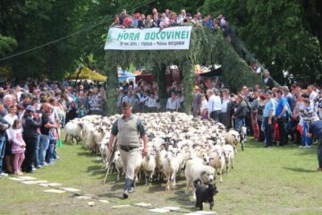 Hora Bucovinei a adus ieri la Bucșoaia mii de oameni din toate colțurile județului