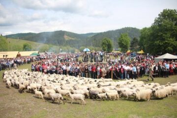 Hora Bucovinei a adus ieri la Bucșoaia mii de oameni din toate colțurile județului