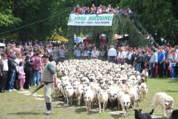 Hora Bucovinei a adus ieri la Bucșoaia mii de oameni din toate colțurile județului