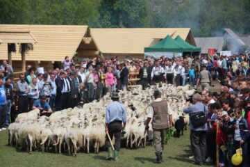 Hora Bucovinei a adus ieri la Bucșoaia mii de oameni din toate colțurile județului