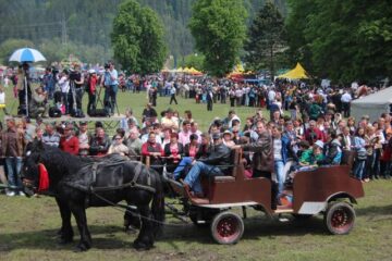 Hora Bucovinei a adus ieri la Bucșoaia mii de oameni din toate colțurile județului