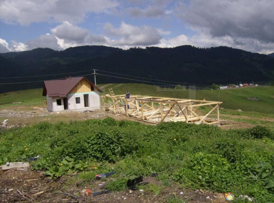 În Câmpulung va fi dat în folosință un modern adăpost de câini