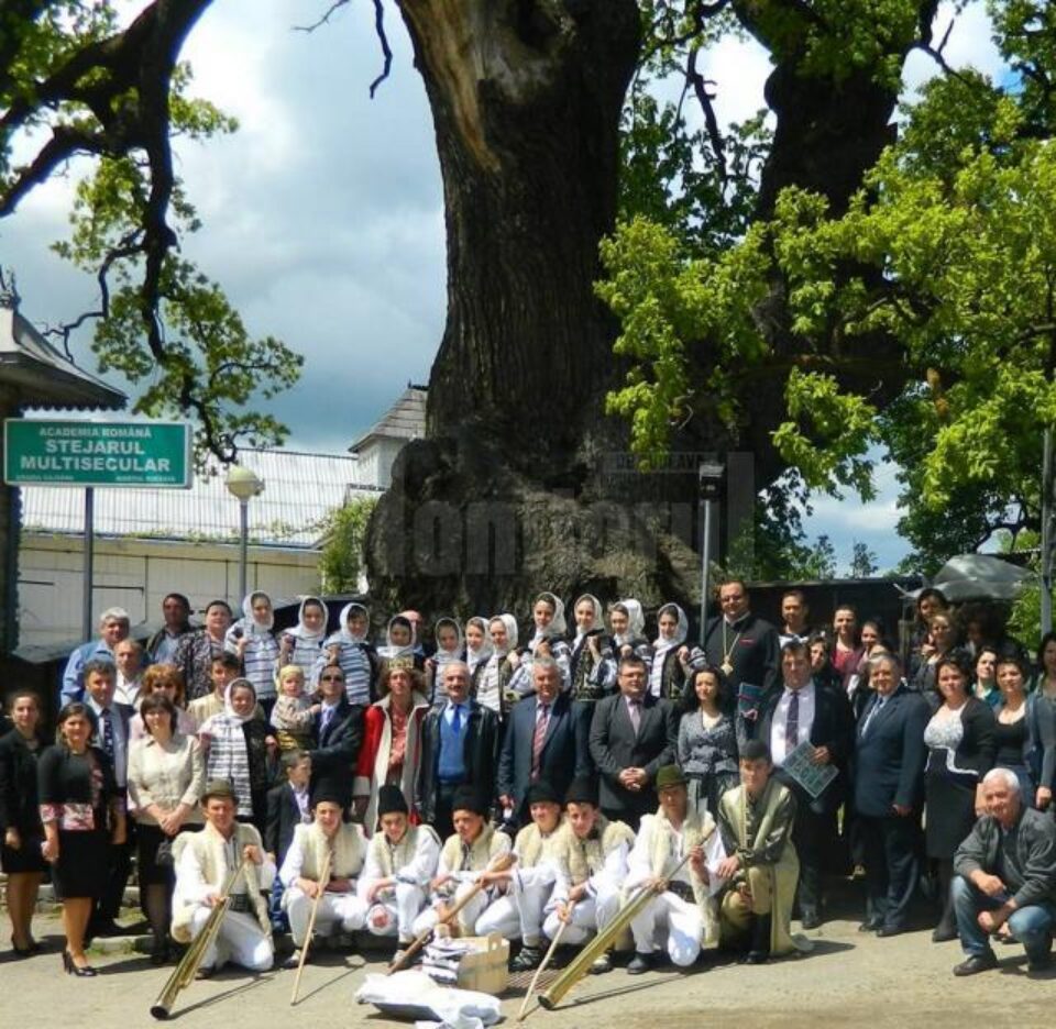 Simpozionul „Arborii Ocrotiți – simbol al vitalității, diversității și frumuseții”, la Cajvana