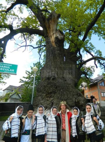 Simpozionul Național „Arborii Ocrotiți – simbol al vitalității, diversității și frumuseții”, ediția I