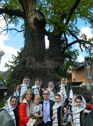 Simpozionul Național „Arborii Ocrotiți – simbol al vitalității, diversității și frumuseții”, ediția I