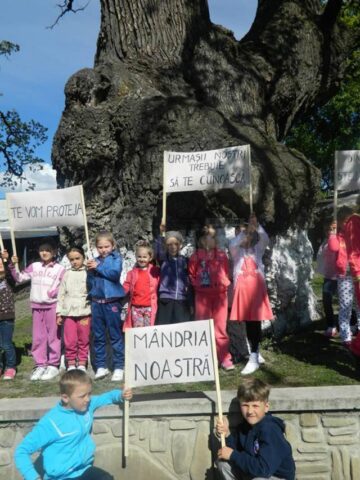 Simpozionul Național „Arborii Ocrotiți – simbol al vitalității, diversității și frumuseții”, ediția I