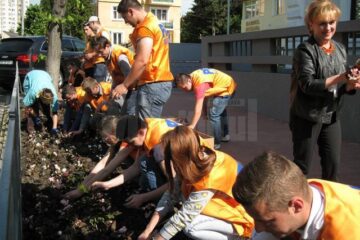 Democrat-liberalii suceveni au plantat ieri peste 1.500 de flori pe aleea din fața sediului organizației municipale Suceava a partidului