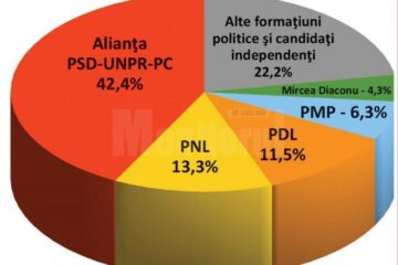 PSD a câștigat detașat alegerile europarlamentare