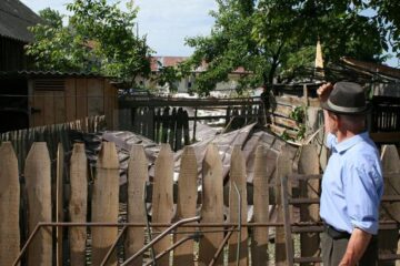 Bucata de acoperiș ajunsă în spatele casei lui Toader Amariei