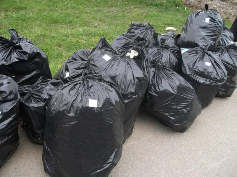 Ziua Europeană a Curățeniei – 10 mai 2014, la Colegiul Alexandru cel Bun Ziua Europeană a Curățeniei – 10 mai 2014, la Colegiul Alexandru cel Bun
