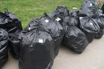 Ziua Europeană a Curățeniei – 10 mai 2014, la Colegiul Alexandru cel Bun