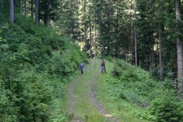 Bărbat rătăcit în drum spre Vârful Rarău, găsit de jandarmii montani Bărbat rătăcit în drum spre Vârful Rarău, găsit de jandarmii montani