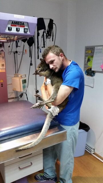 Între medicul veterinar Gabriel Gașpar și Ru există o relație specială