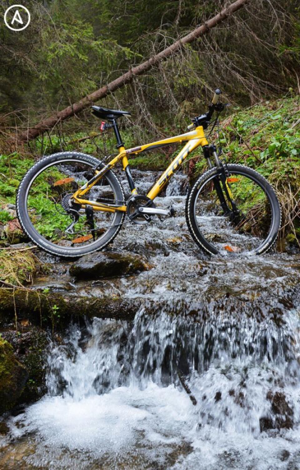 Traseu bicicletă: Păstrăvăria Valea Putnei – Cabana de vânătoare Valea Putnei – Codrul secular Giumalău