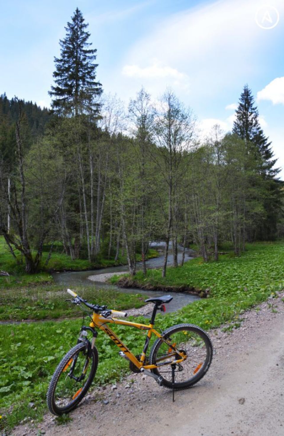 Traseu bicicletă: Păstrăvăria Valea Putnei – Cabana de vânătoare Valea Putnei – Codrul secular Giumalău