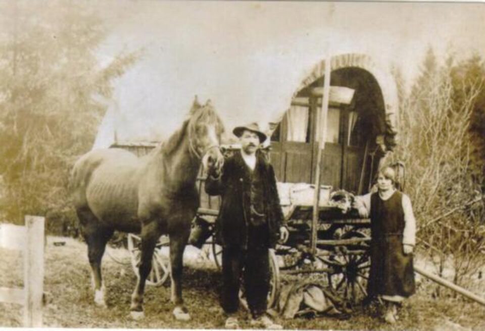 „Țiganii din Bucovina”