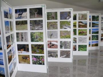 A IX-a ediție a manifestării cultural-artistice și turistice „La poale de Călimani” - Sărbătoarea bujorului de munte