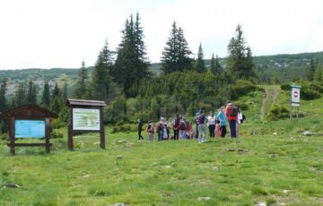 Pentru turiști, principalele atracții au fost excursiile organizate în munții Călimani