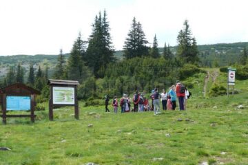 Pentru turiști, principalele atracții au fost excursiile organizate în munții Călimani