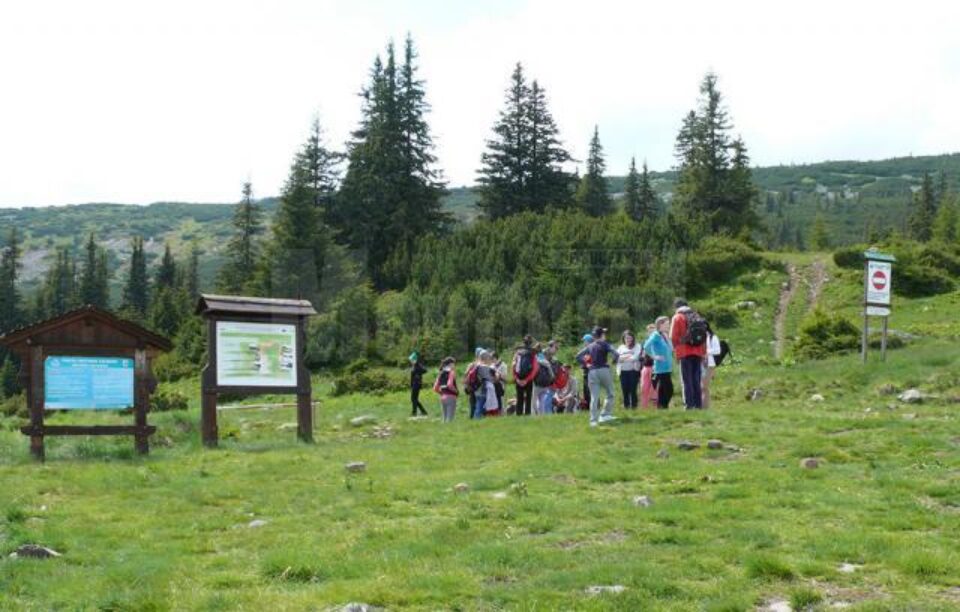 Pentru turiști, principalele atracții au fost excursiile organizate în munții Călimani
