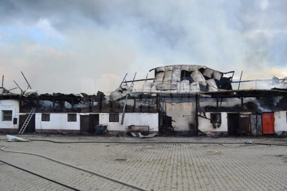Clădirea în care se afla ferma a fost puternic afectată de incendiu