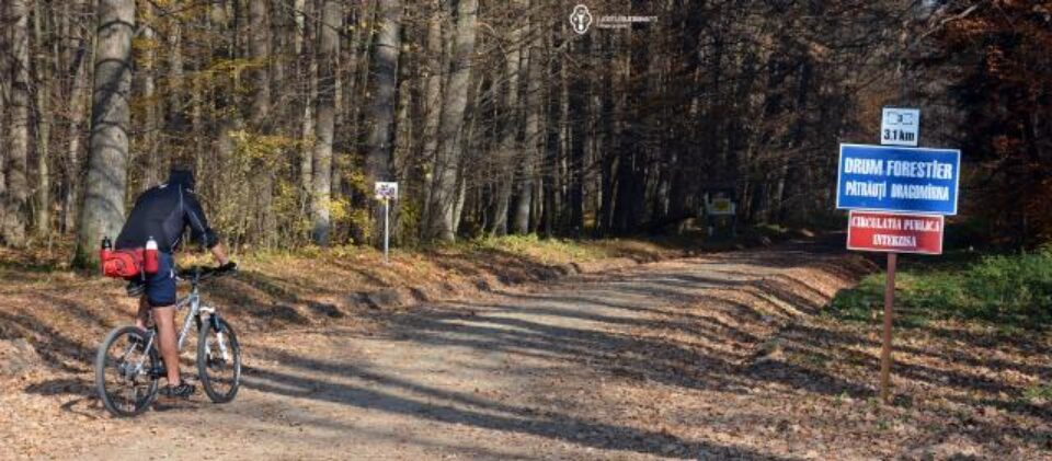 Traseu bicicletă Pătrăuți – Dragomirna