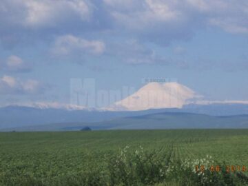 Până să ajungă în vârf, pe Elbrus, cei trei suceveni au avut parte de 13 ore de coșmar