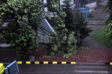 Gheață și în centrul Sucevei. Furtuna a rupt crengile copacilor