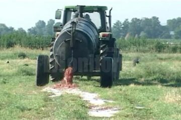 Sâmbătă, un tractor cu vidanjă împrăștia resturi lichide de la abatorul din Roșcani